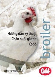 Hướng dẫn kỹ thuật Chăn nuôi gà thịt Cobb
