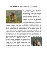 Das Murmeltier [engl.: marmot] – ein Nagetier