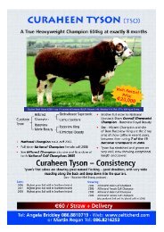 Suckler Beef Value â¬285 = top 1% across all breeds; BLUP: Muscle ...