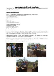 2013 Maart Nuusbrief - The Nguni Cattle Breeders