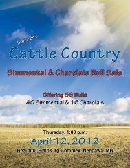 Sunville Simmentals - Transcon Livestock Corporation