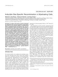 Inducible site-specific recombination in myelinating ... - SECO Project