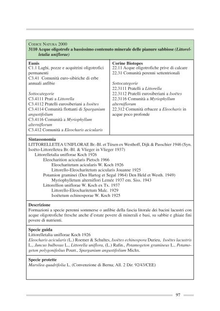 Sinergie fra la Direttiva Quadro sulle Acque e le Direttive ... - Ispra