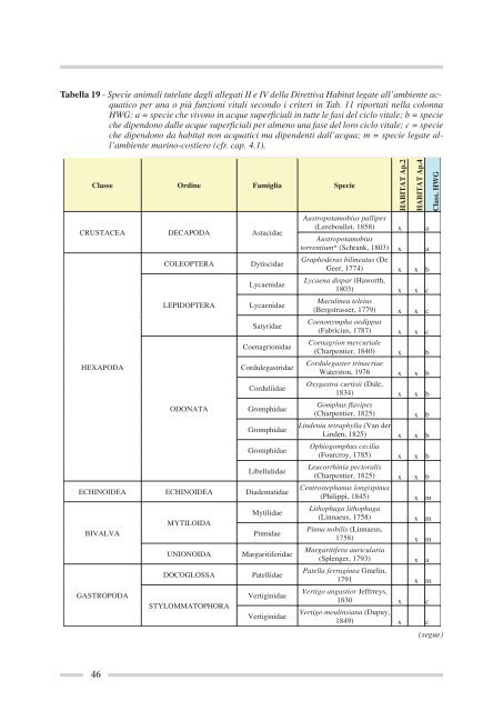 Sinergie fra la Direttiva Quadro sulle Acque e le Direttive ... - Ispra