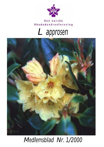 Noen nyheter vÃ¥ren 2000 - Den norske Rhododendronforening