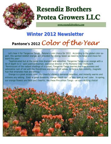 Winter 2012 Newsletter - Resendiz Brothers Protea Growers