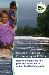 Pueblo Indígena Miskitu - Natural Justice