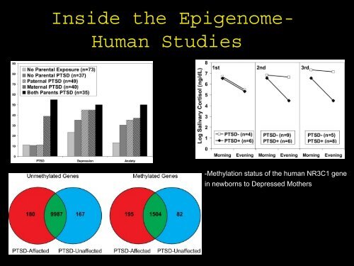 The Epigenetics of PTSD