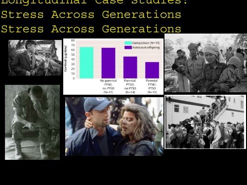 The Epigenetics of PTSD