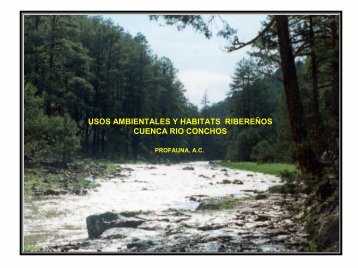 usos ambientales y habitats ribereÃ±os cuenca rio conchos