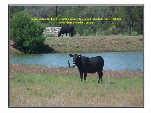 usos ambientales y habitats ribereÃ±os cuenca rio conchos