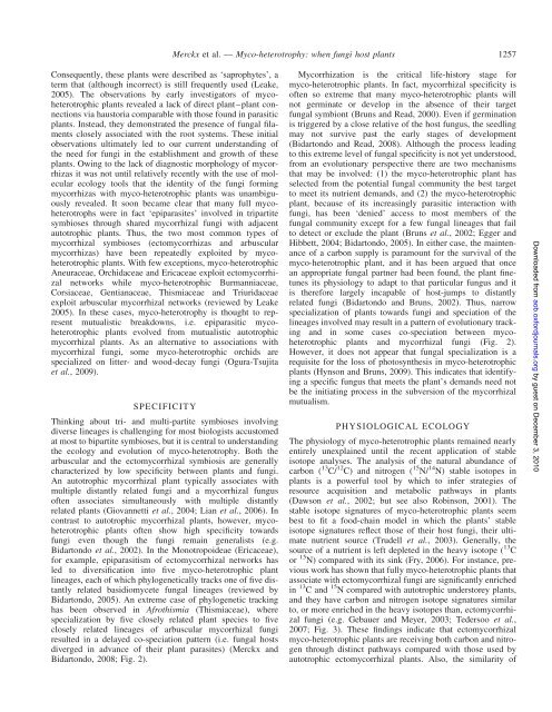 Myco-heterotrophy: when fungi host plants