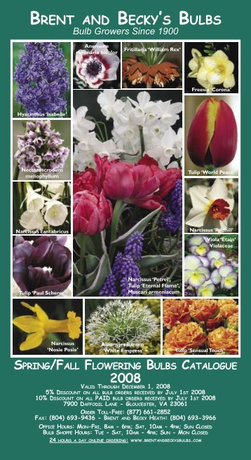 2008 Spring Fall Catalogue 02-26-08.indd - Brent and Becky's Bulbs!