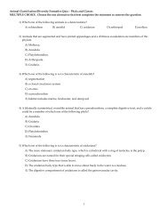 animal diversity (phylum, classes) formative quiz - 07-08.tst - TestGen