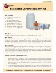 Malolactic Chromatography Kit - MoreWine