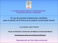 grandes instalaciones cientÃ­ficas - Instituto de Estructura de la Materia