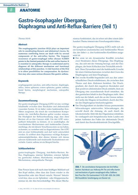 Gastro-ösophagaler Übergang, Diaphragma und Anti-Reflux-Barriere