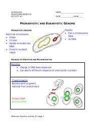 Prokaryotic and Eukaryotic Genome Notes