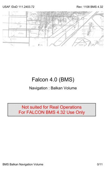 Falcon 4.0 (BMS)