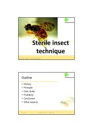 Sterile insect technique