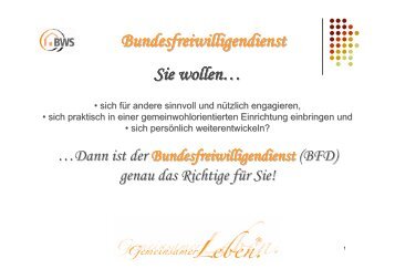 Bundesfreiwilligendienst - Behindertenwerk Spremberg