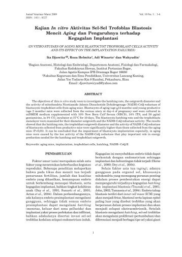 Download this PDF file - E-Journal Universitas Udayana