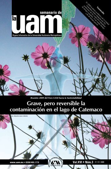 Grave, pero reversible la contaminaciÃ³n en el lago de Catemaco