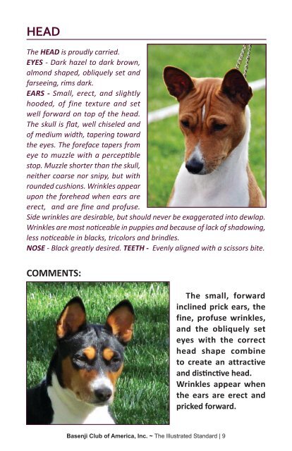 Illustrated Standard - the Basenji Club of America