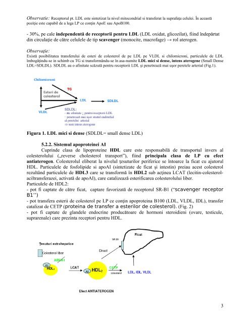 cursul 13 fiziopatologia metabolismului lipoproteinelor - OvidiusMD