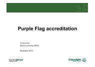 Purple Flag Presentation PDF 1 MB