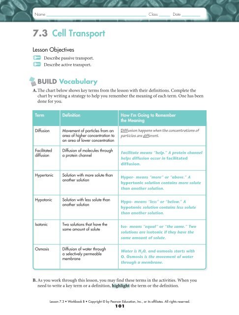 pearson education inc biology worksheet answers