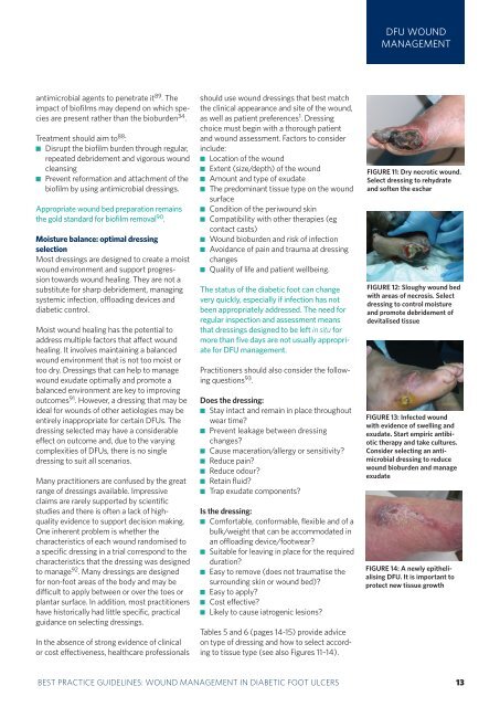 best practice guidelines: wound management in diabetic foot ulcers