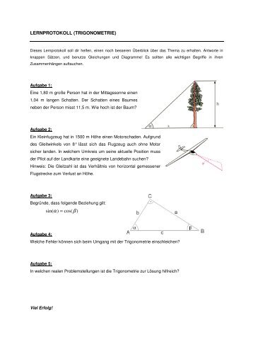 Lernprotokoll - problemloesenlernen.de