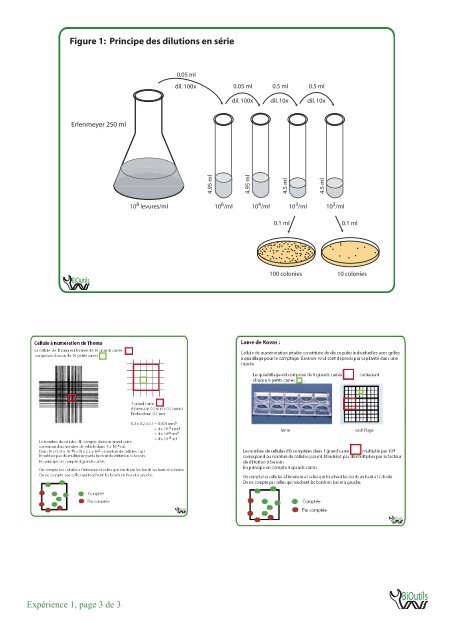 1: DÃ©nombrement de levures - BiOutils - UniversitÃ© de GenÃ¨ve