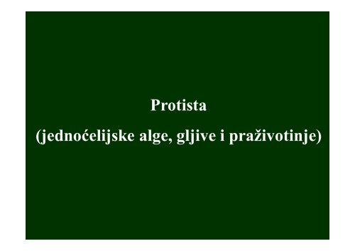 Protista (jednoćelijske alge, gljive i praživotinje) - Raka Web