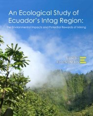 An Ecological Study of Ecuador's Intag Region: - Earth Economics