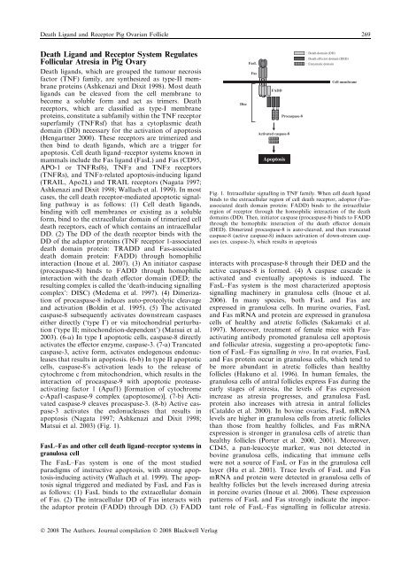 Reproduction in Domestic Animals