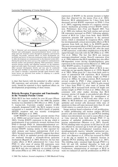 Reproduction in Domestic Animals