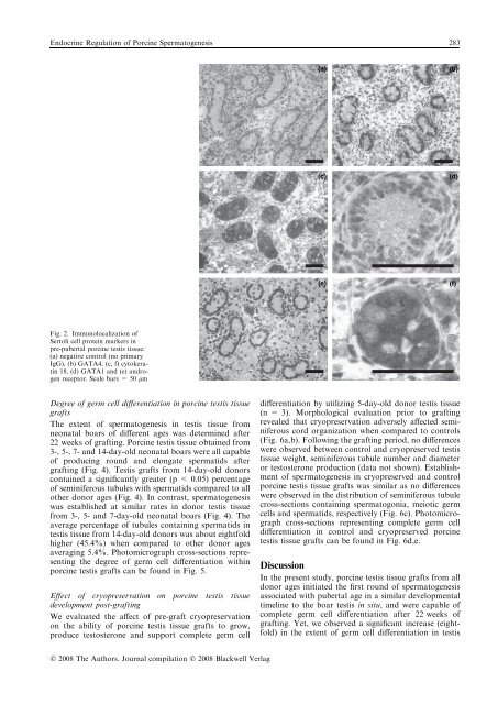 Reproduction in Domestic Animals