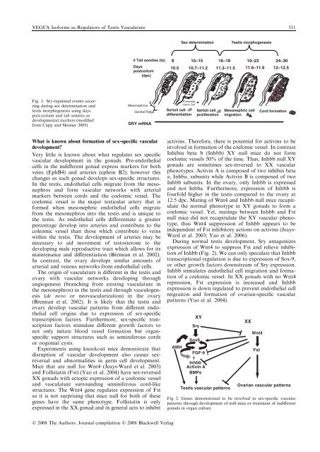 Reproduction in Domestic Animals