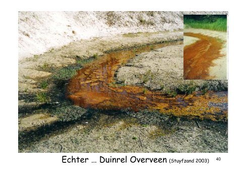 Hydrologie en chemie van grondwater in de ... - VeldwerkPlaatsen