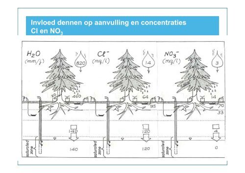 Hydrologie en chemie van grondwater in de ... - VeldwerkPlaatsen