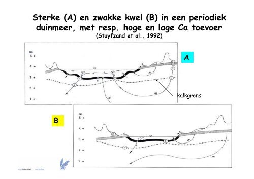 Hydrologie en chemie van grondwater in de ... - VeldwerkPlaatsen