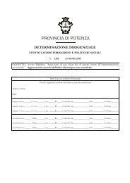 Determinazione Dirigenziale n. 1251 del 06/05/2011 - Provincia di ...