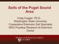 Soils of the Puget Sound Area - Puyallup Research & Extension ...