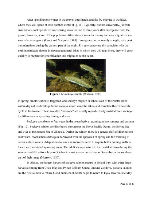 Life Histories and Distributions of Copper River Fishes (.pdf)