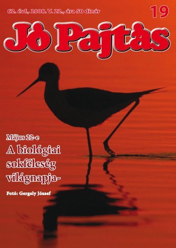 JÃ³ PajtÃ¡s - TippNet