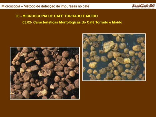 MICROSCOPIA DE CAFÃ TORRADO E MOÃDO - Abic