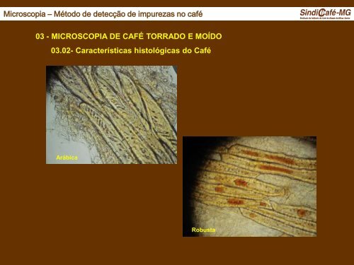 MICROSCOPIA DE CAFÃ TORRADO E MOÃDO - Abic