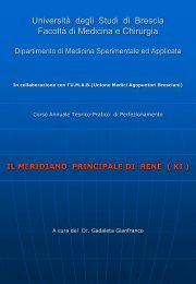 il meridiano principale di rene ( ki ) - Popolis